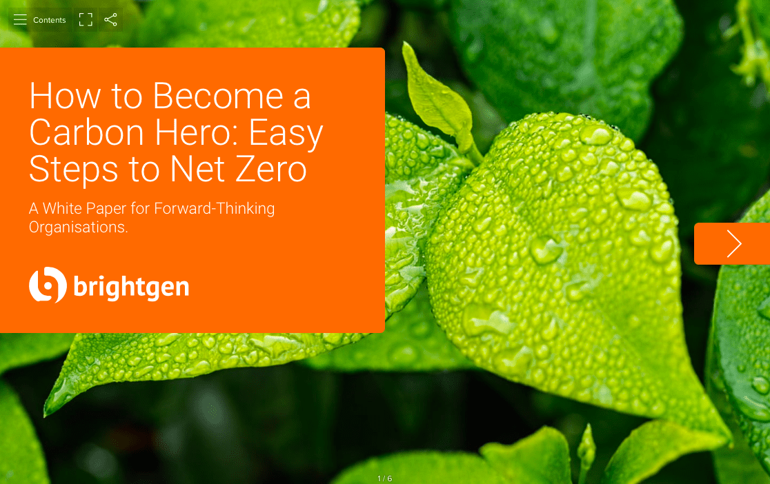 [White Paper] How to Become a Carbon Hero: Easy Steps to Net Zero
